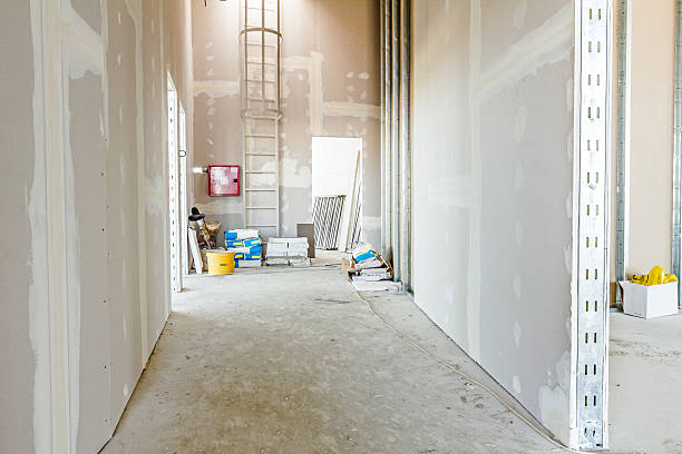 Best Mold-Related Health Consultation  in Dimmitt, TX
